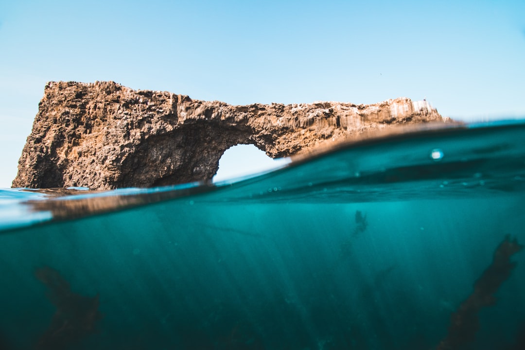 The Power of Sea Moss Pills for Health