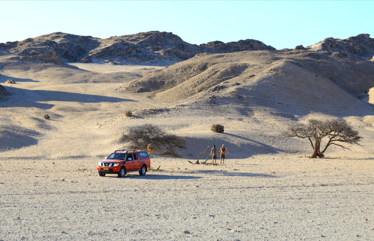 Exploring Ukraine’s Only Desert: The Oleshky Sands Safari Adventure